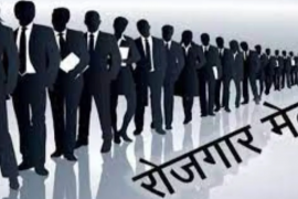 10,000 youths in Chhattisgarh to get employment opportunities; state-level job fair in Raipur on October 7–8. Latest news hindi news big News Khabargali 