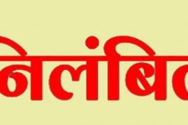 5 Patwaris suspended in Chhattisgarh SDM takes action over negligence in revenue related work Latest news Hindi News khabargali 