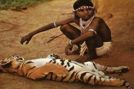 'Chendru' Award announced to boost tourism in Chhattisgarh; Sai government to award ₹1 lakh to the selected winner. Latest news hindi news khabargali 