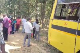  Manendragarh a bus collided with a tree 6 passengers died and 15 injured were taken to the hospital hindi news chhattisgarh news 