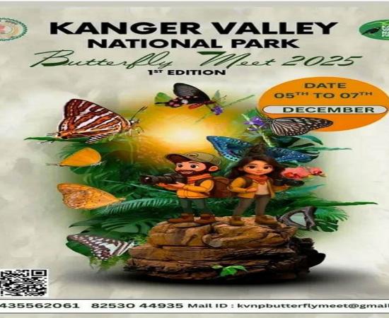  पुणे-बेंगलूरु हाईवे में दर्दनाक हैड्स, बेकाबू ट्रक कई वाहनों से भिड़ा, 7 जलकर मरे खबरगली Tragic accident on Pune-Bengaluru highway, out-of-control truck collides with several vehicles, 7 burnt to deathhindi news big news khabargali 