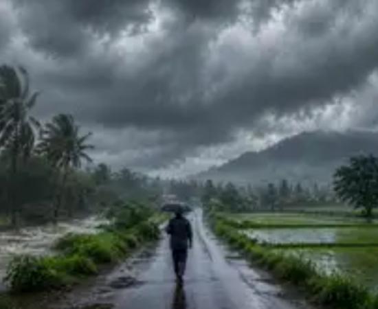 Monsoon arrives in Chhattisgarh; heavy rain and storms bring relief from the heat; Meteorological Department issues a warning. Latest News raipur news khabargali 