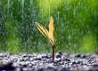 Rain expected in Chhattisgarh for next 5 days, providing relief from scorching heat raipur chhattisgarh hindi news khabargali 