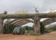  Visiting Nandanvan Zoo and Jungle Safari has become more expensive for tourists, with ticket prices increasing. raipur chhattisgarh hindi news khabargali 