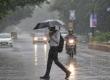 Monsoon to intensify in Chhattisgarh; alert issued for rain and lightning over the next 7 days. Hindi news latest Hindi news khabargali 