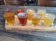 Fresh craft beer to be available in Chhattisgarh; government grants approval, opening up opportunities for investment and employment. raipur chhattisgarh hindi news khabargali 