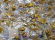 Action taken at the home of a female party worker close to a TMC leader; 3 kg of gold seized. kolkata hindi news chhattisgarh khabargali 