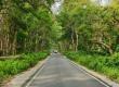 The forest will remain closed to tourists for three months starting today; entry will resume on October 2. raipur chhattisgarh hindi news khabargali 