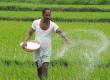 Major relief for farmers: Officials must now provide irrigation facilities within 7 days. big news raipur khabargali 