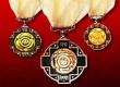 Applications for Padma Bhushan and Padma Shri awards have opened; nominations can be submitted until July 31. raipur chhattisgarh hindi news khabargali 