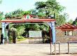 Major changes in the operation of Nandanvan coming soon; Forest Department to issue tender shortly. Hindi news latest news khabargali 