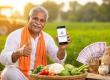 Major relief for farmers: Deadline for crop insurance extended to August 14 raipur cg news khabargali 
