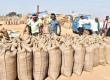 Preparations for paddy procurement in Chhattisgarh intensify 360 new centers to open and arrangements made for 3.64 lakh bales of gunny bags raipur news hindi news latest news khabargali 