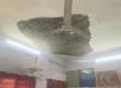 Ceiling plaster fell on the Tehsildar's chair; he narrowly escaped, while the table and computer were damaged. hindi news latest news khabargali 