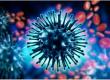 Swine flu raises concern; patient count in Raipur crosses 108. raipur news hindi news khabargali 
