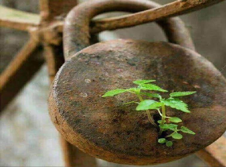 lock