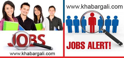 Job alert khabargali