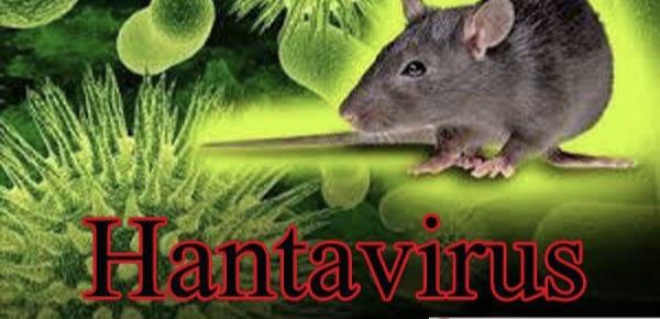 Hantavirus khabargali