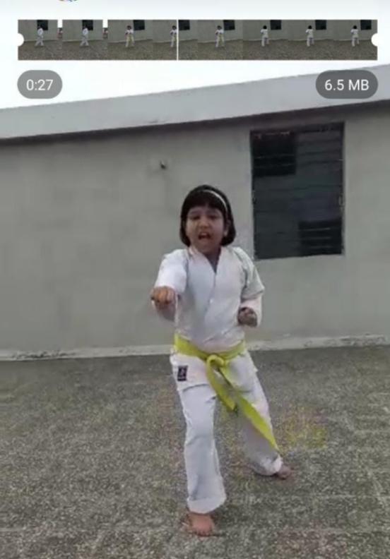 Online Karate, kata, Competition, Raipur, Madhya Pradesh Chhattisgarh, Founder of Karate, Renshi Sw. Deepak Thakur, Smriti, International Karate player Harsha Sahu, Khabargali