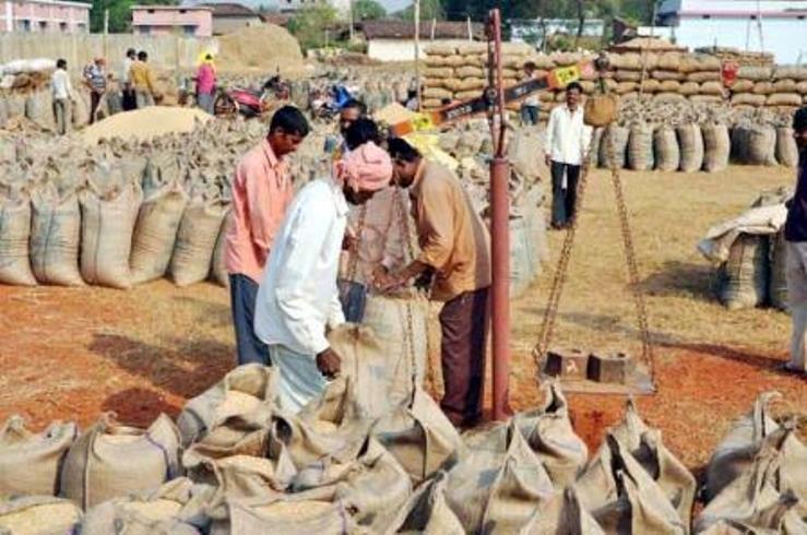 Kharif Marketing Year 2020-21, Paddy Purchased, Chhattisgarh, Mandi, Farmer, Khabargali