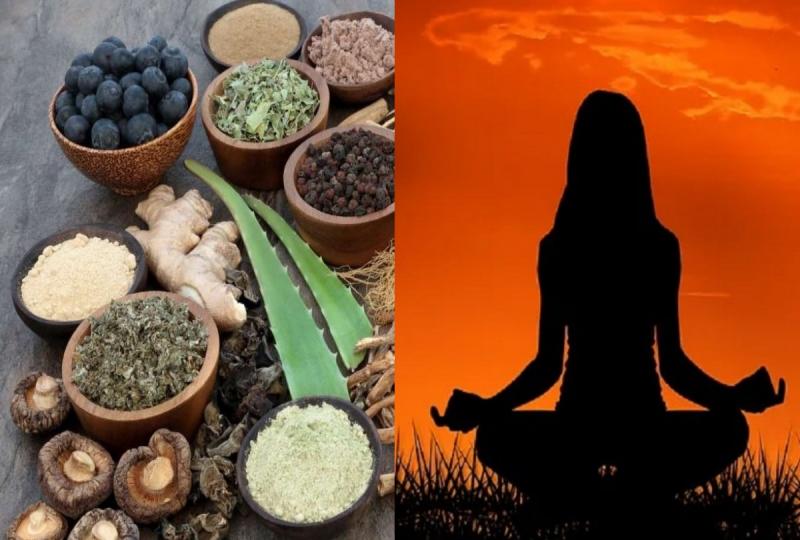 chhattisgarh, ayurveda, yoga, homeopathy, naturopathy, unani medicine bachelor course, apply online, Khabargali