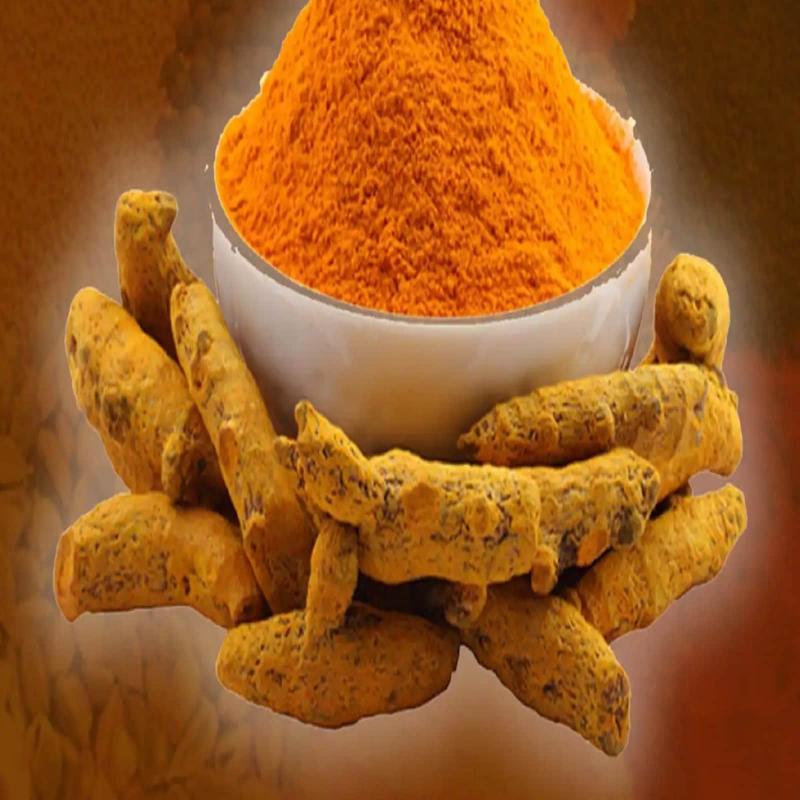 Turmeric is rich in anti-septic, anti-biotic properties, co-professor of Ayurvedic College, Dr.  Sanjay Shukla, Khabargali