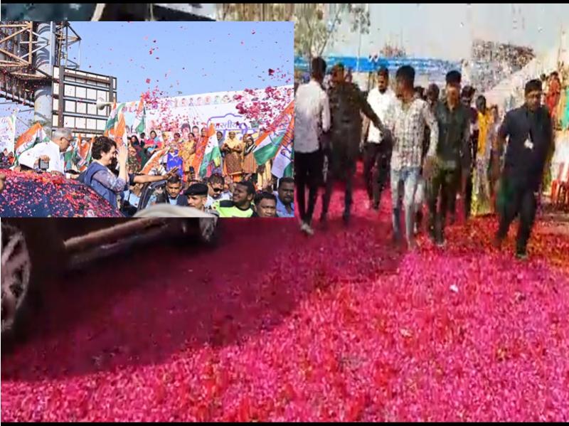 85th National Convention of Congress, Flower Shower, Rose Carpet, Priyanka Gandhi, Mayor Ejaz Dhebar, Raipur, Chhattisgarh, News, khabargali