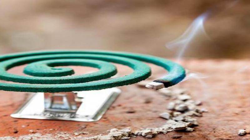 Beware, Mosquito coil fire, Carbon monoxide gas filled in the house, 6 killed, Mosquito incense sticks, Khabargali