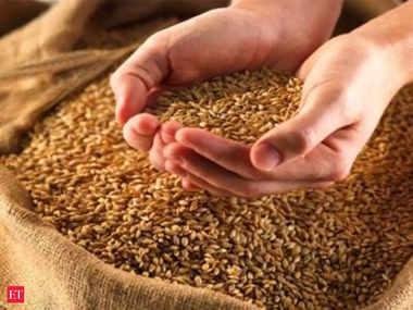Trader-wholesaler, retailer, big chain retailer, determination of stock limit of wheat, Chhattisgarh Food, Civil Supplies and Consumer Protection Department, Khabargali