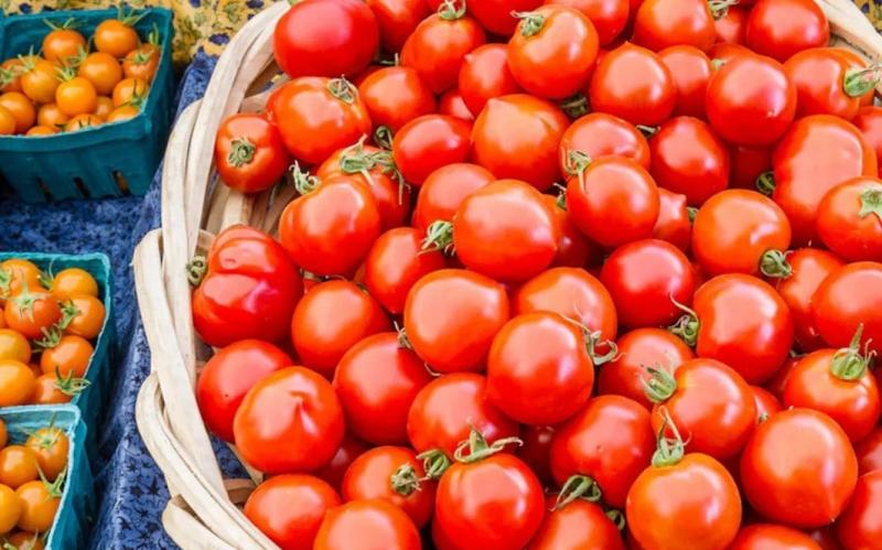 Central government decides to sell tomatoes at Rs 80 per kg,khabargali
