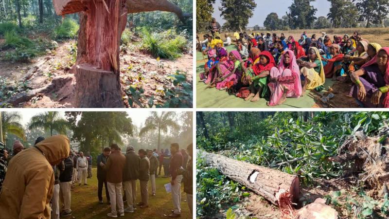 BJP state spokesperson and Raipur division in-charge former MLA Saurabh Singh, State Congress President Deepak Baij's allegations, killing of trees in Hasdev Bago and converting forests into cleared grounds, then Chief Minister Bhupesh Baghel and then Deputy Chief Minister TS Singhdev Chhattisgarh, Khabargali.