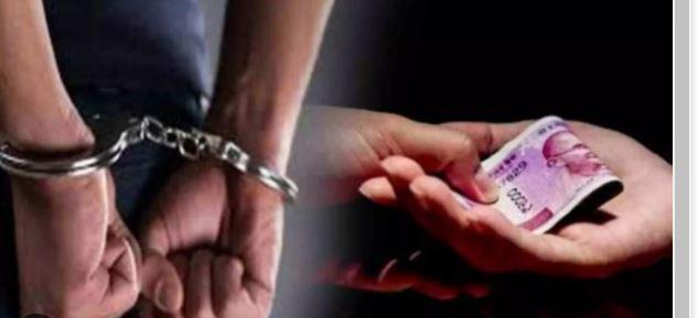   Two bribe taking Patwaris caught red handed, demanded money from the farmer for improving the documents...  latestnews hindinews bignews khabargali   
