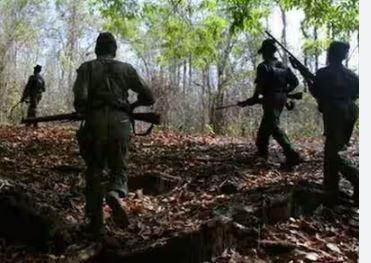  Encounter between security personnel and Naxalites, 8 Naxalites killed...  naxal attack bignews  latestnews  cgnews  narayanpurnews  cg news   khabargali 