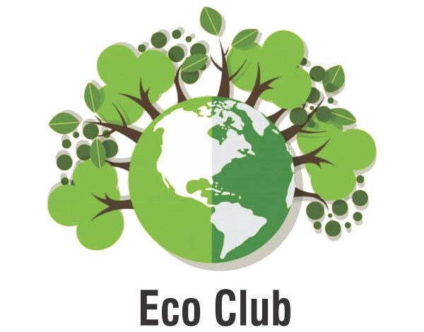 Eco Club will be formed in all the schools of Chhattisgarh to create awareness among children... Latest news Hindi news khabargali 