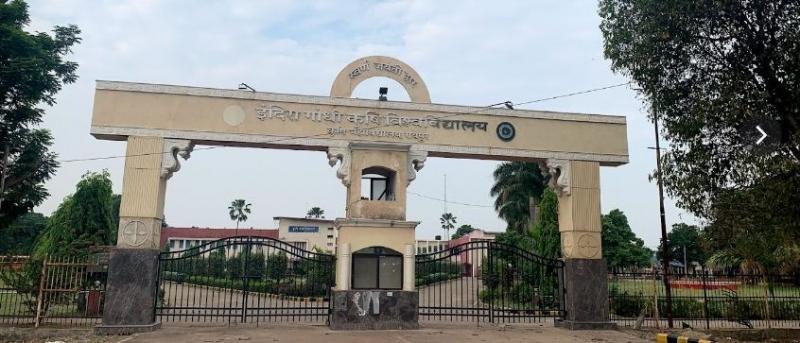 NIRF issued by the Government of India. Agricultural University got 39th place in the ranking... Hindi news Chhattisgarh news khabargali 