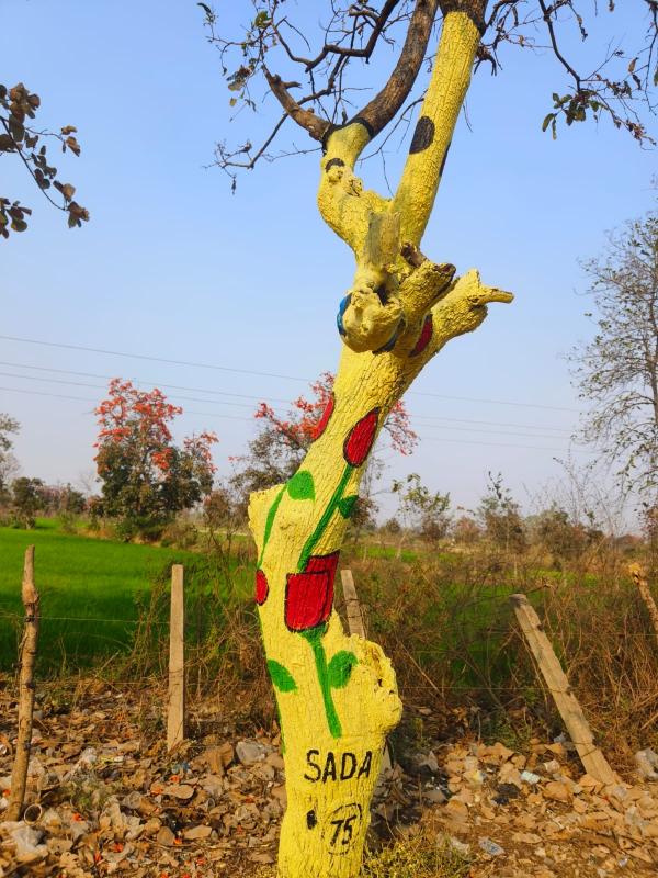 If painting is done on tree trunks, action will be taken against the culprits; Government issued orders, Nitin Singhvi, Raipur, Chhattisgarh, Khabargali,