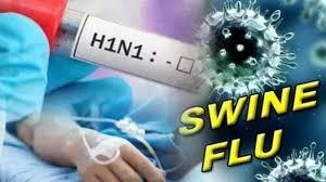 Swaine flu: Swine flu patients active in Raipur, Bilaspur and Rajnandgaon, six people died in 15 days.  raipurnews  cg news hindinews chhattisgarh news  khabargali 