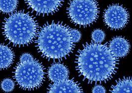 Swine flu continues to wreak havoc in the state, 6 people died in 15 days...  cg news latestnews khabargali 