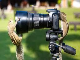Today is World Photography Day, exhibition will be held in Art Gallery of Raipur...  cg news hindinews latest news khabargali 