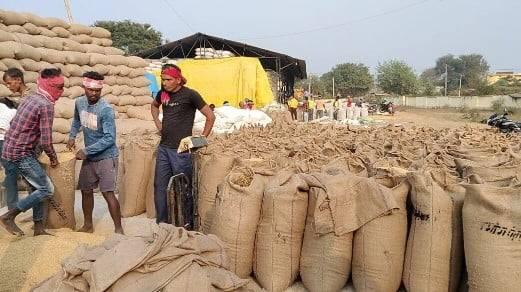 Paddy procurement will start in Chhattisgarh from November 15, Food Minister said - Government will buy 21 quintals at the rate of Rs 3100 per hundred... Cg news Raipur news cg big news khabargali 