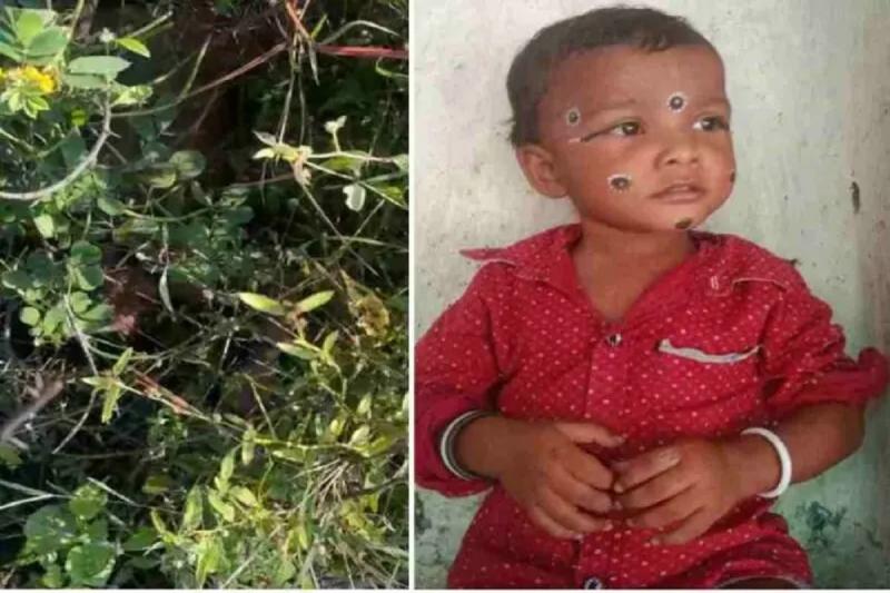 3 year old innocent murdered brutally, dead body found in bushes… cg big news hindi news CG big news khabargali 