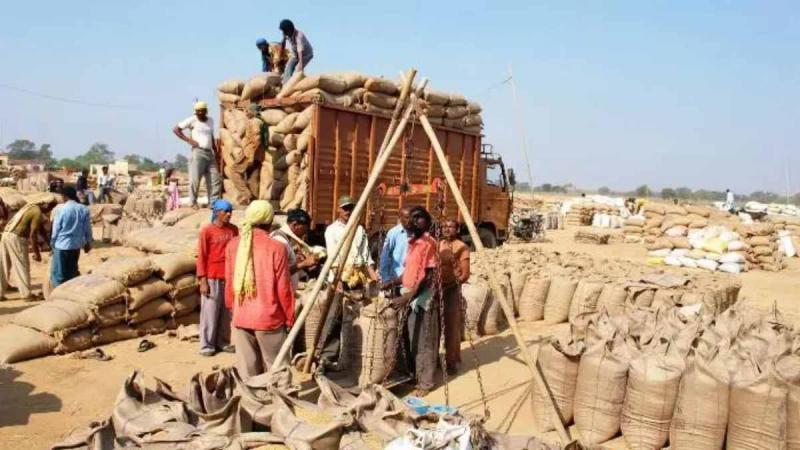 Paddy will be purchased in Chhattisgarh from November 15, this day is the last date for registration.  cg news hindi news cg latest news khabargali 