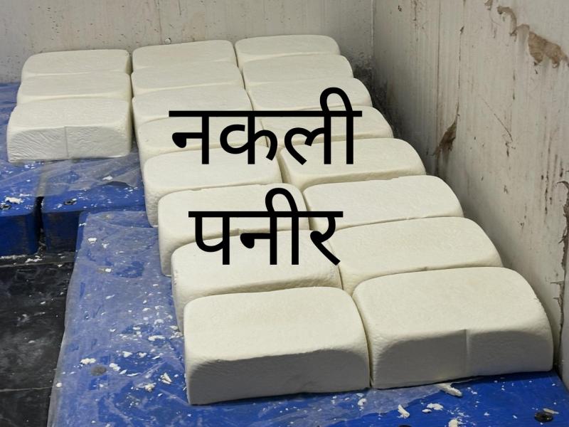 Poison in the name of Paneer.. 2500 kg fake Paneer seized from Birgaon factory, factory sealed, harmful chemicals in Paneer, Dalda palm oil, oil, refined flour, Food and Drug Administration Department Controller Chandan Kumar, Assistant Commissioner Mohit Behera, Nitesh Mishra, Food Safety Officer Rakhi Thakur, Kheer Sagar Patel, Ajit Baghel, Satish Raj, MFTL Staff, Prakash Parmar, Raipur, Chhattisgarh, Khabargali