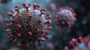HMPV वायरस ने भारत में दी दस्तक, 6 मामले आए सामने  खबरगली HMPV virus hits India, 6 cases reported hindi news big news hmpv  virous latest new hindi news hmpv virous 