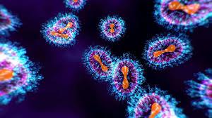 चीन के नए वायरस HMPV की भारत में एंट्री, बेंगलुरु में मिले दो केस खबरगली  China's new virus HMPV enters India, two cases found in Bengaluru  hindi news big news  health news latest news khabargali 