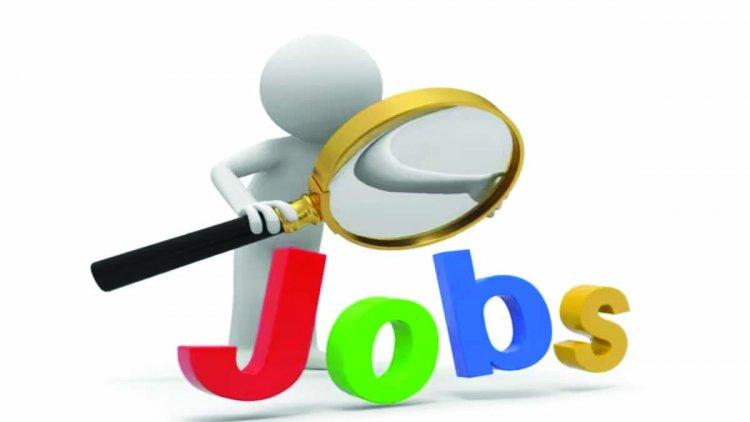 100 से अधिक पदों पर होगी भर्ती, 10वीं पास होना अनिवार्य  खबरगली There will be recruitment on more than 100 posts, 10th pass is mandatory  cg news cg hindi news cg jobs cg big news khabargali 