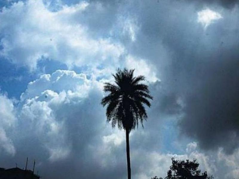 Chhattisgarh to experience cloud cover for next 7 days, temperature to reach 24 degrees hindi News latest news khabargli 