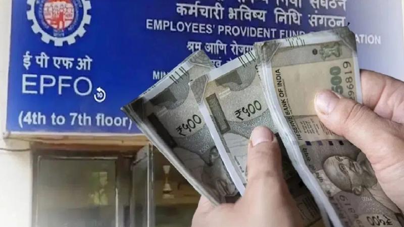 Great news for PF holders: Interest money has been credited to the account, know how to check the balance?, Khabargali