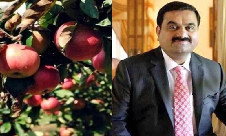 Adani's initiative benefits farmers, 12.5% ​​higher price offered, Adani Agri Fresh Limited has furthered its commitment towards the farmers of the state and has announced better rates for apple purchase this year as well, Khabargali