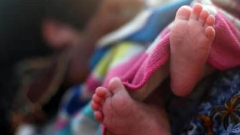 After safe delivery of twins, mother's health deteriorated and she died, family members created uproar Chhattisgarh News korba news khabargali 